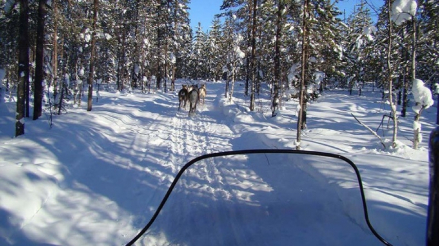 Sneeuwscootertoch door Zweedse wildernis